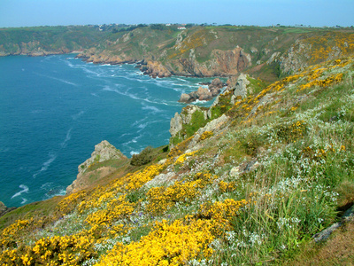 View of Guernsey