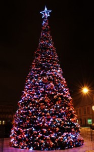 Christmas tree in city centre