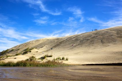 Dune Boarding at Te Paki Sand Dunes - the choice is yours on a self-organised trip to New Zealand.