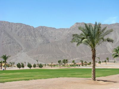 A golf course in Egypt - 9 things you didn't know about Egypt