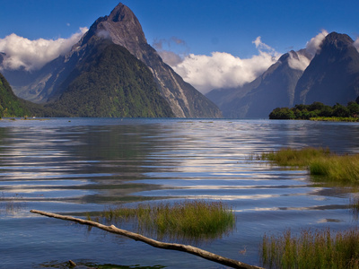 Beat the January Blues: Milford Sound