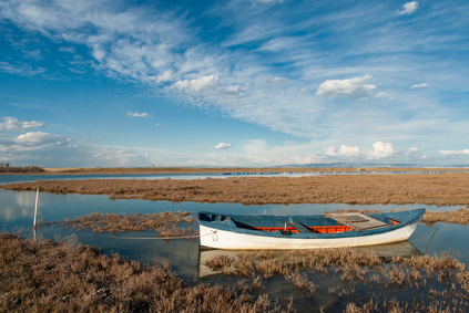 natural sights - Landscape with traditional wooden boat in Axios Delta, near Thessaloniki, Greece. Axios or Vardar is the second largest river in the Balkans.