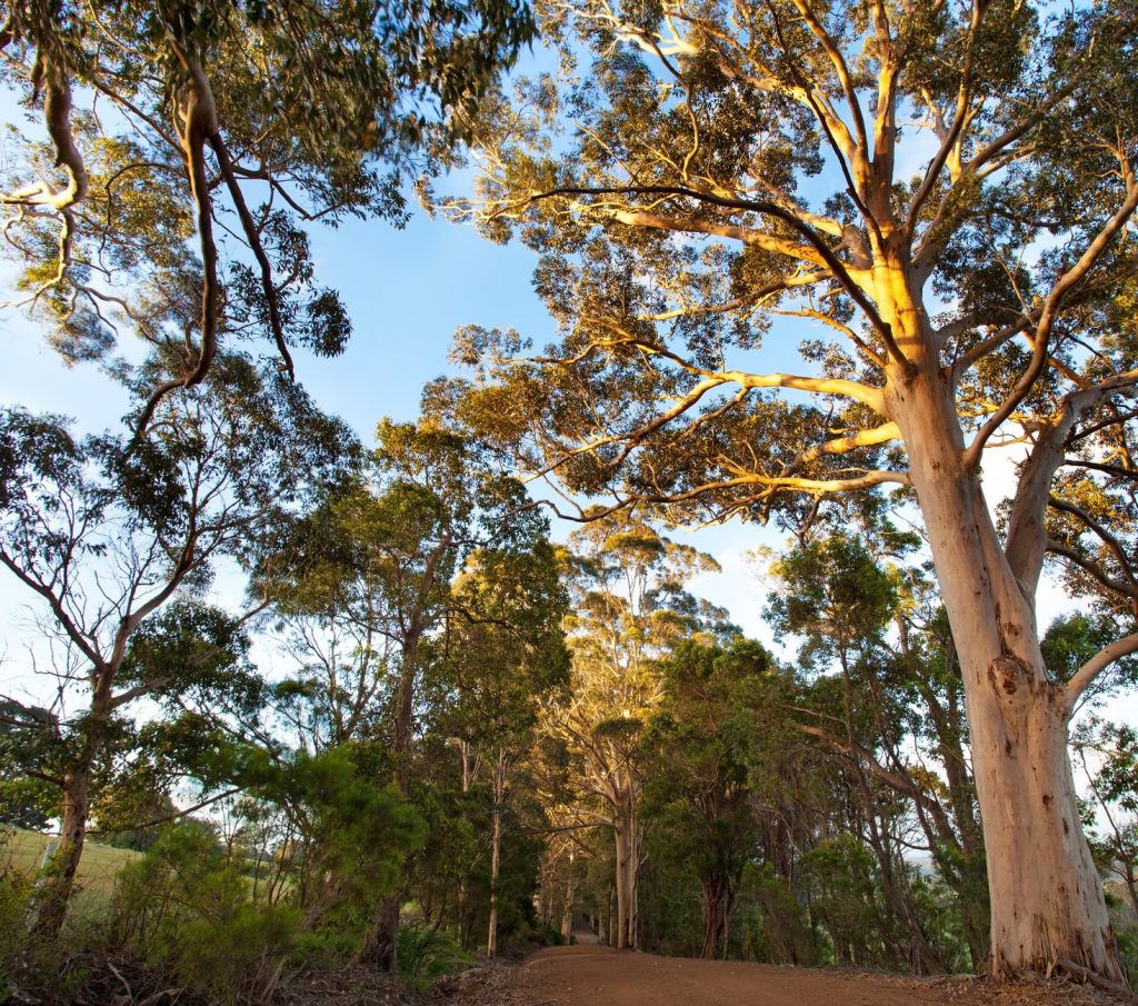 A Road Trip Exploring Australia’s Coastal South West