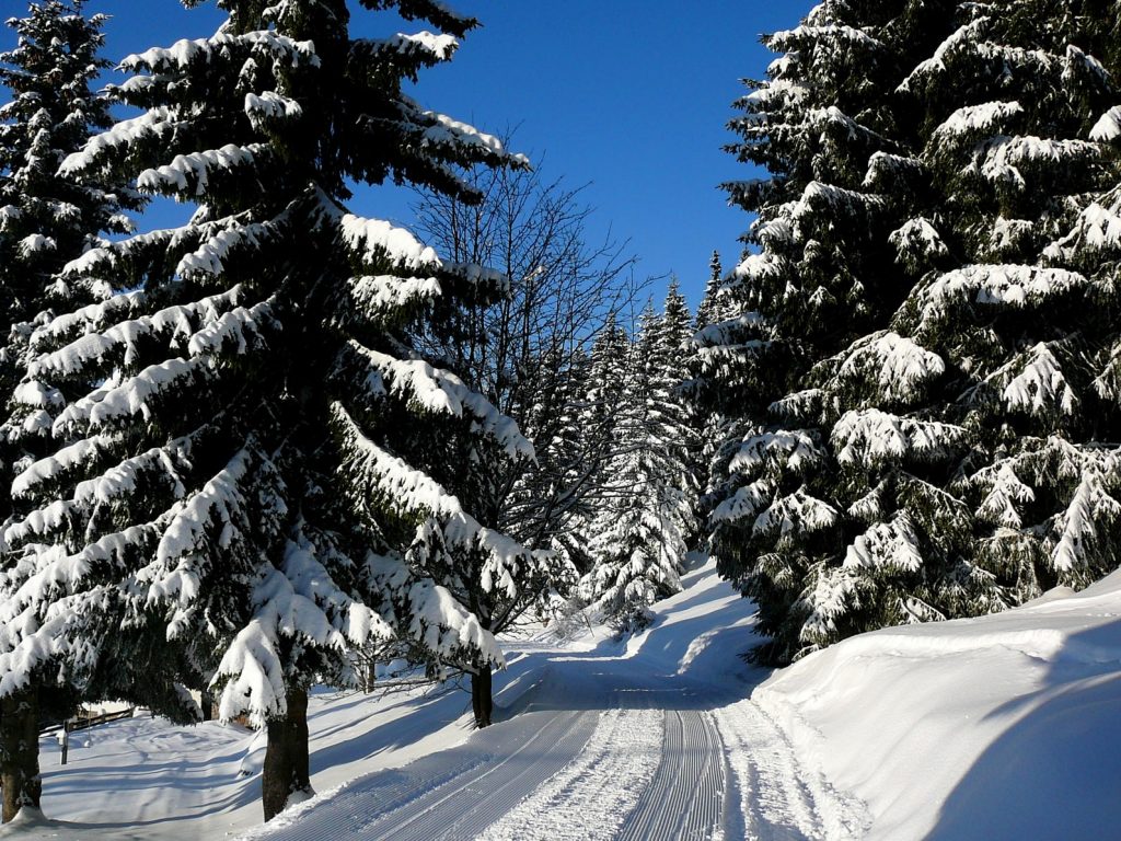 Winter hiking in the Czech Republic