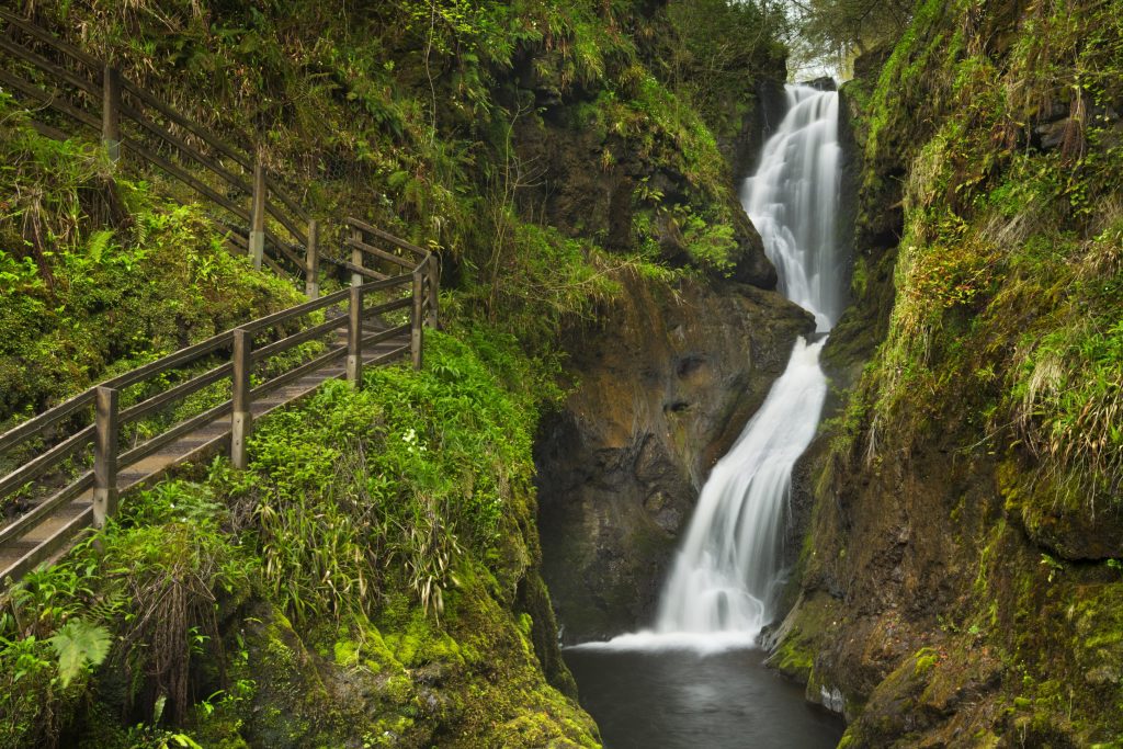 Northern Ireland: Causeway Coastal Route, Glenariff Forest Park