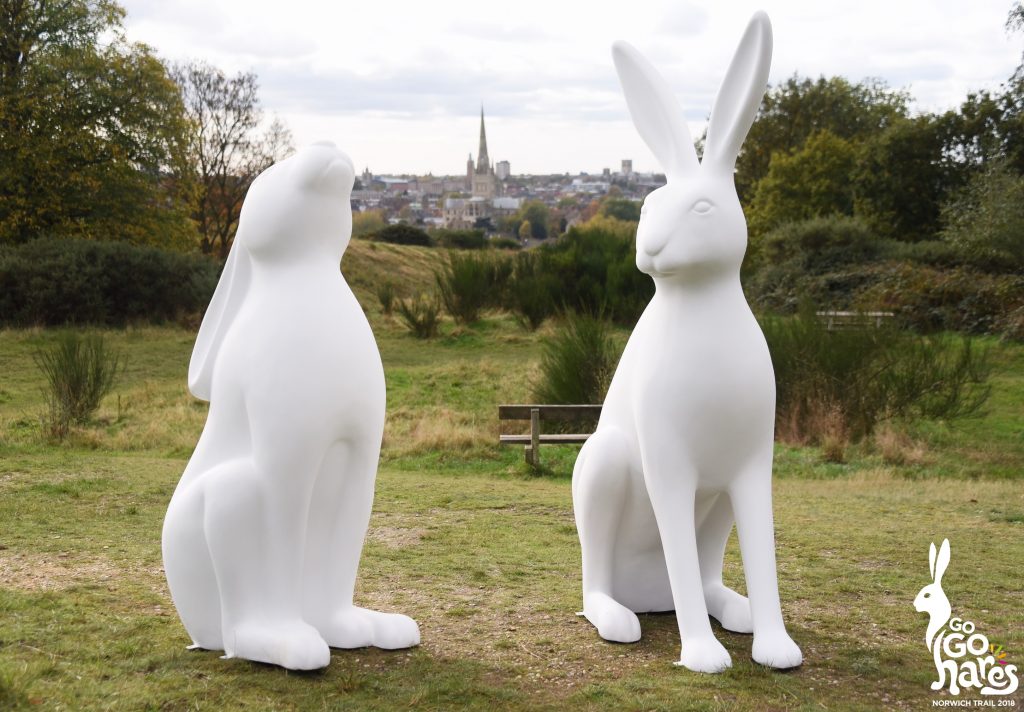 GoGoHares2018