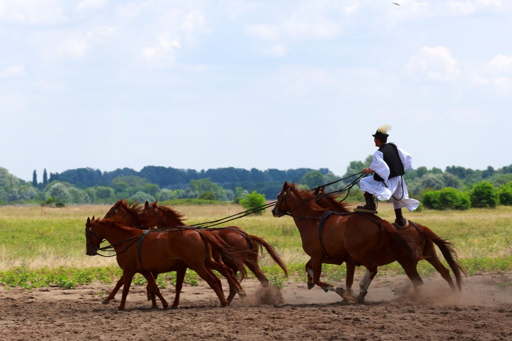 Horse riding holidays: The puszta five in Hungary