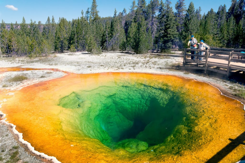 Once in a lifetime experiences: Yellowstone National Park, USA