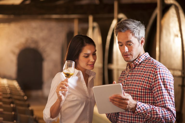 A Beginner's Guide to Wine Tasting - How to Look Like a Pro