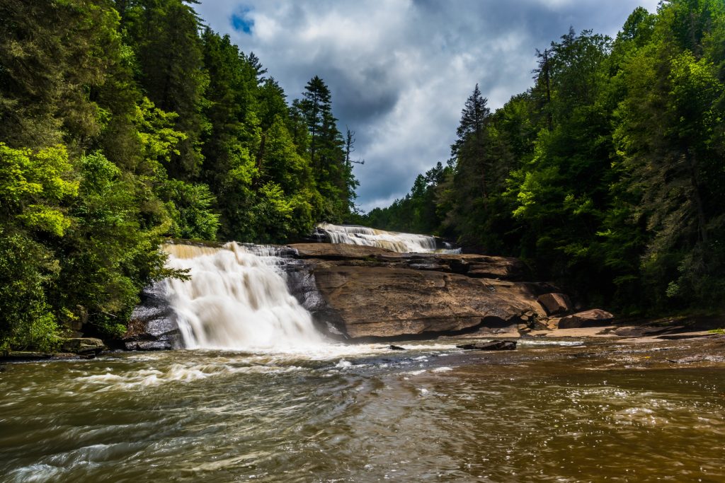 Movie sets and filming locations: Dupont State Forest, The Hunger Games