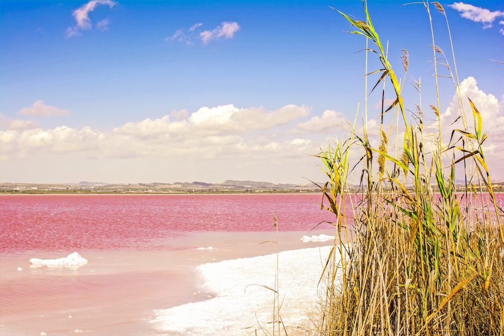 Pink salt lake in Torrevieja, Spain; Spanish costas; Costa Blanca